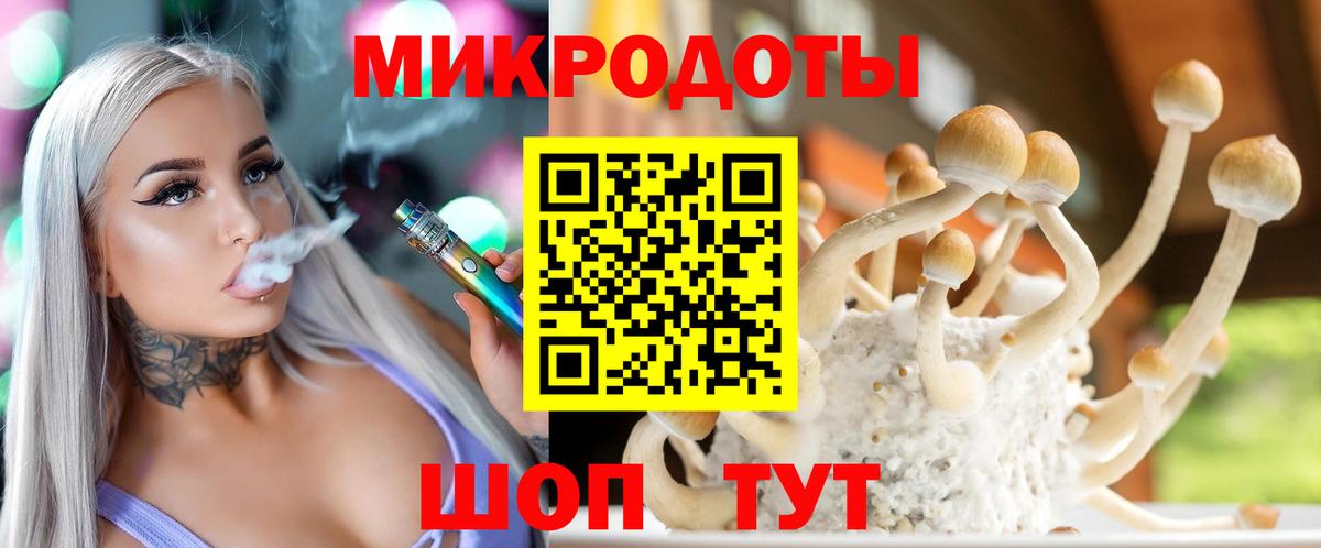 Вологда  Галлюциногенные грибы мухоморы  Вход с VPN 